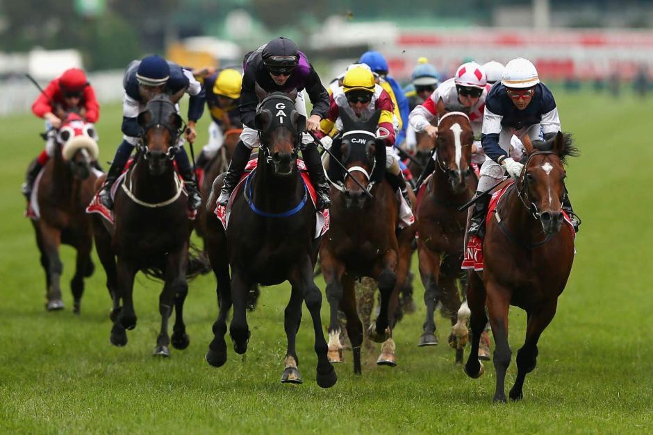 horse racing betting south australia lyrics